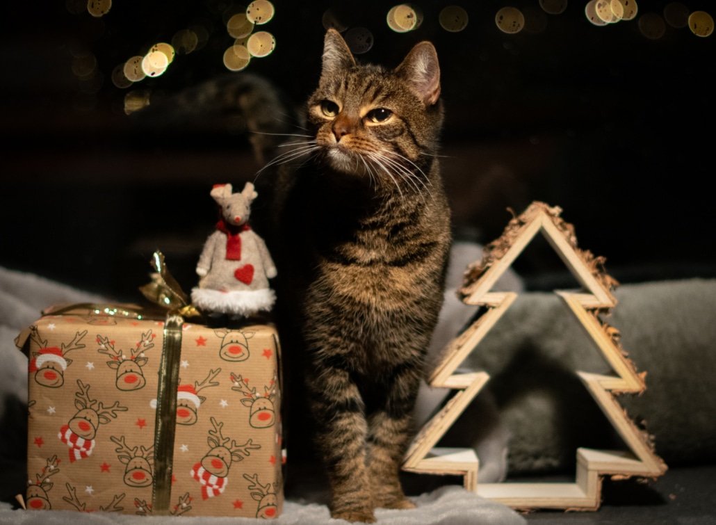 2025_Weihnachten_Wuppertal UG